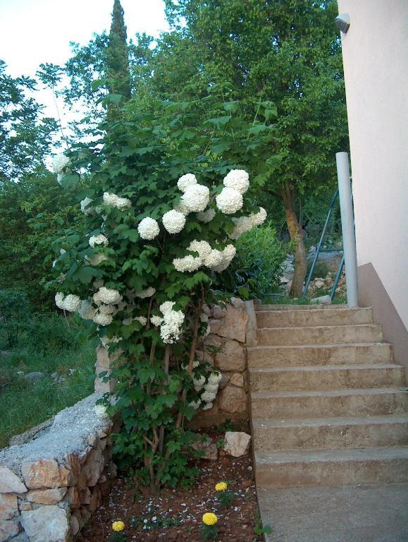 Villa Petra Međugorje Exterior foto